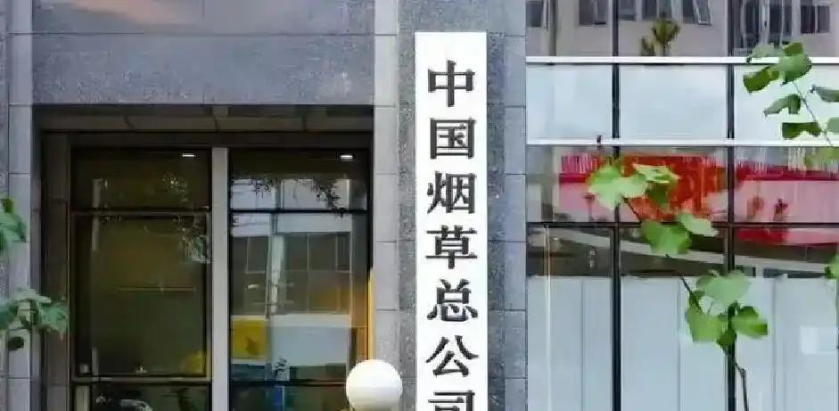 替补上场仅约20秒后，卢卡库造乌龙
